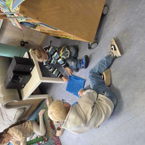 grundschule-buschweg.de > Bildergalerie > ZebraFledermäuse_12