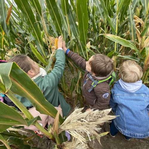 grundschule-buschweg.de > Bildergalerie > Wolfsklasse Mais_2