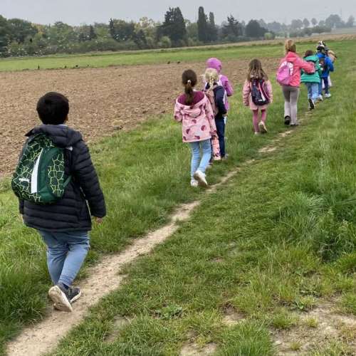 grundschule-buschweg.de > Bildergalerie > Wolfsklasse Mais_3